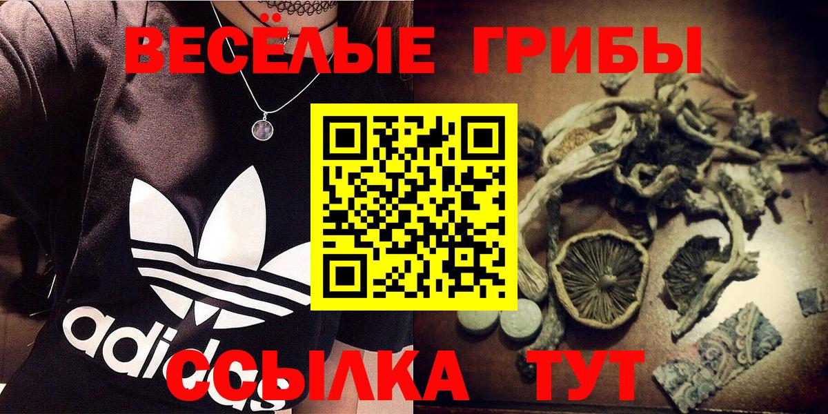 Галлюциногенные грибы Psilocybine cubensis  как найти   Вход с VPN  Лесной  Галлюциногенные грибы Magic Shrooms 